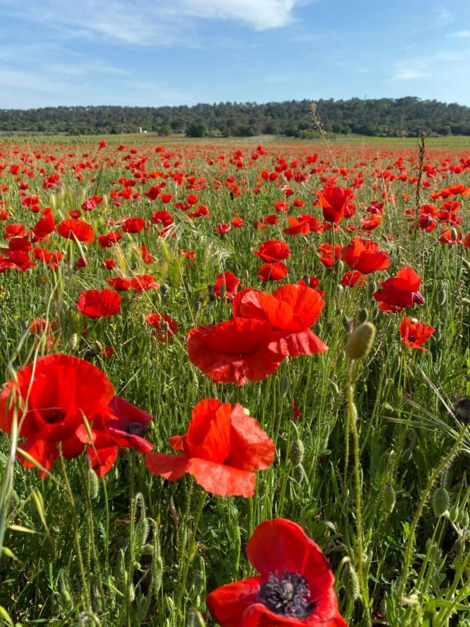 Les Santolines - Studio A La Campagne Aigaliers Exteriér fotografie